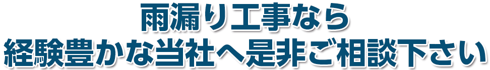 雨漏り工事ならドルフィンへお任せください